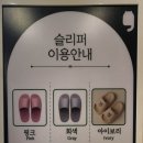 캣플헤븐 앨리웨이 광교점 이미지