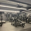 포커스짐 이미지