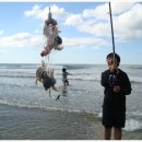 꽃게영어 네이버블로그