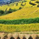 지실경로당 이미지