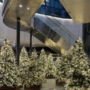 커피숲 | 서울숲카페 커피스니퍼성수 커피 맛집 후기