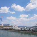 여기는 팔포항입니다 이미지