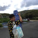 [하와이신혼여행] 하와이스노쿨링 / 하나우마베이 / 꼭 가야할 하와이 명소! (최고좋았음b)