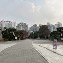 KT 플라자 횡단보도 네이버블로그