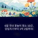 양천구 지역명소 탐방코스 6 | 6월 국내 지역별 꽃 명소 10곳 당일치기/1박2일 힐링 맛집 총정리