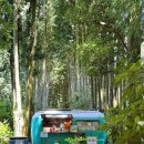 오름공원놀이터 이미지