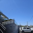 비에노즈 | 제주 한림읍 오션뷰 애견동반카페 비에노즈 내돈내산 후기