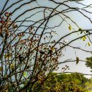 새암공원 이미지