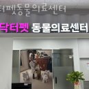 닥터펫동물의료센터 이미지