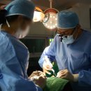 광화문선치과의원 이미지