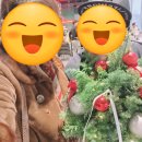 (12/13)크리스마스 미니트리 | 미니쿠퍼 일산 출고고객 로열티 행사! 크리스마스 트리만들기 행사 후기!