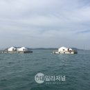 거금해양낚시공원 이미지