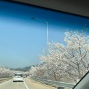 나물밥상 | 구례 화엄사 근처 가성비 좋은 12.000원 나물밥상 솔직후기 | 그옛날 산채정식