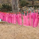 이정수농장 3 이미지