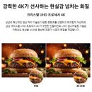 상업용 43 이미지