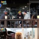고수희 카카오 검색결과