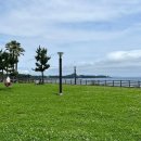 알로하제주 이미지