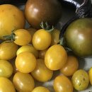 천연산야초농장 이미지