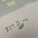 [02년생] 삼성전자 교대근무 3년차 힐링캠프 후기 🌳😌 (회사복지 - 4)