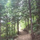 안심산 둘레길 이미지