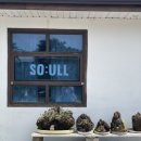 소울soull