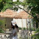 아야트B | 고성 아야진 오션뷰 숙소 <아야트B> 후기 + 꿀팁