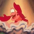 오늘 두시 이미지