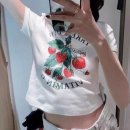 큐트핏 이미지