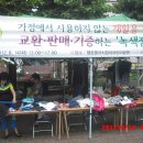 행운동-14 이미지