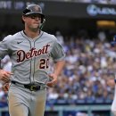 명품타이거즈 이미지