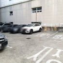 진심왕돈까스 장안점 이미지