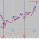 RSI | BPDL RSI 이미지