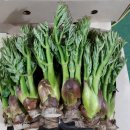 산골농부네 이미지