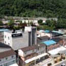 야생화마을 추리본부 이미지