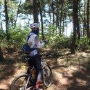 소원면사무소 이미지