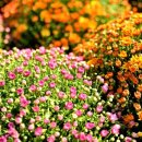 극동스타클래스 남산 이미지