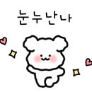 하파크리스틴 타임스퀘어점 이미지