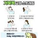 굿케어주식회사 이미지