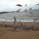 한나어린이집 이미지