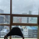 월드크리닝본점 이미지