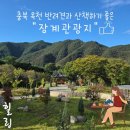 장계 | [충북 옥천] 가을 산책하기 좋은 &#34;장계관광지&#34; 방문 후기