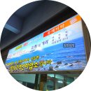 미락횟집 | 제주 서귀포 횟집 동해미락 고등어회 포장 내돈내산