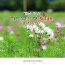 황산공원 배구장 이미지