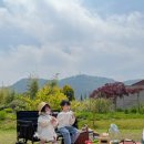 참좋은healthcare | 유아 웨건 추천 접이식 붐케어 휴대용 벤치형 웨건 후기 외출 나들이 필수템