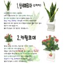 화초밥 - 남동구 성리로 2 | 화초밥