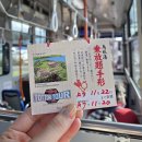 한국차박물관버스정류장(회천방향) | [요나고/돗토리] 3일차 ~ 에이스팩 나싯코칸(이십세기 배기념관)