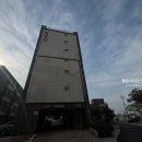 하모리-31 이미지