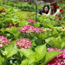 함평자연생태공원 이미지