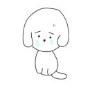 루루강아지 이미지