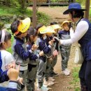 봉의초병설유치원 이미지